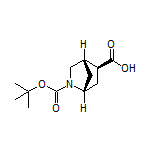 (1R,4S,5S)-2-Boc-2-氮杂双环[2.2.1]庚烷-5-甲酸
