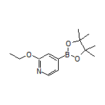 2-Ethoxy-4-pyridylboronic Acid Pinacol Ester