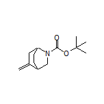 2-Boc-5-methylene-2-azabicyclo[2.2.2]octane