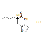 (R)-2-Amino-2-(thiophen-2-ylmethyl)hexanoic Acid Hydrochloride