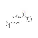 [4-(tert-Butyl)phenyl](cyclobutyl)methanone