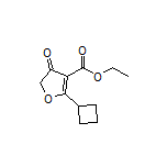 Ethyl 2-Cyclobutyl-4-oxo-4,5-dihydrofuran-3-carboxylate