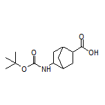 5-(Boc-amino)bicyclo[2.2.1]heptane-2-carboxylic Acid