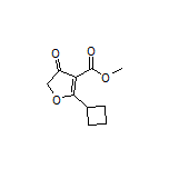 Methyl 2-Cyclobutyl-4-oxo-4,5-dihydrofuran-3-carboxylate