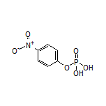 4-Nitrophenyl Dihydrogen Phosphate