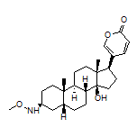 5-[(3S,5R,8R,9S,10S,13R,14S,17R)-14-Hydroxy-3-(methoxyamino)-10,13-dimethylhexadecahydro-1H-cyclopenta[a]phenanthren-17-yl]-2H-pyran-2-one