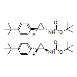 (1S,2S)-re-lN-Boc-2-[4-(tert-Butyl)phenyl]-2-fluorocyclopropanamine