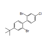 2,2’-Dibromo-4-(tert-butyl)-4’-chloro-1,1’-biphenyl