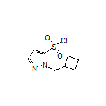 1-(Cyclobutylmethyl)-1H-pyrazole-5-sulfonyl Chloride