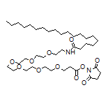 2,5-Dioxopyrrolidin-1-yl 23-Oxo-4,7,10,13,16,19-hexaoxa-22-azadotetracontan-1-oate