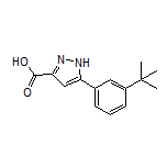 5-[3-(tert-Butyl)phenyl]-1H-pyrazole-3-carboxylic Acid