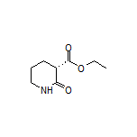 Ethyl (S)-2-Oxopiperidine-3-carboxylate