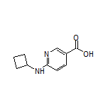 6-(Cyclobutylamino)nicotinic Acid