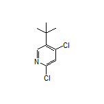 5-(tert-Butyl)-2,4-dichloropyridine