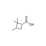 2,2,3-Trimethylcyclobutanecarboxylic Acid
