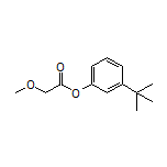3-(tert-Butyl)phenyl 2-Methoxyacetate