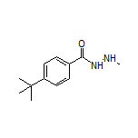 4-(tert-Butyl)-N’-methylbenzohydrazide