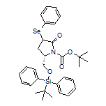 (5S)-1-Boc-5-[[(tert-butyldiphenylsilyl)oxy]methyl]-3-(phenylselanyl)pyrrolidin-2-one