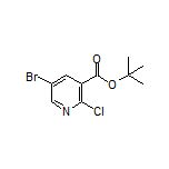 tert-Butyl 5-Bromo-2-chloronicotinate