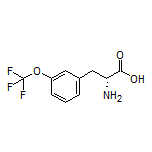 (R)-2-Amino-3-[3-(trifluoromethoxy)phenyl]propanoic Acid