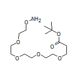 Aminooxy-PEG4-t-butyl ester
