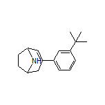 3-[3-(tert-Butyl)phenyl]-8-azabicyclo[3.2.1]oct-2-ene