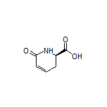 (R)-6-Oxo-1,2,3,6-tetrahydropyridine-2-carboxylic Acid