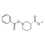 Methyl (R)-1-(Benzoyloxy)piperidine-3-carboxylate