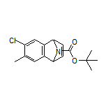 9-Boc-6-chloro-7-methyl-1,4-dihydro-1,4-epiminonaphthalene