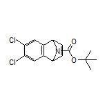 9-Boc-6,7-dichloro-1,4-dihydro-1,4-epiminonaphthalene