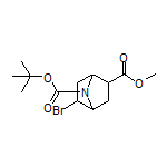 Methyl 7-Boc-5-bromo-7-azabicyclo[2.2.1]heptane-2-carboxylate