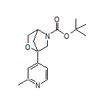 5-Boc-1-(2-methyl-4-pyridyl)-2-oxa-5-azabicyclo[2.2.1]heptane