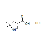 5,5-Dimethylpyrrolidine-3-carboxylic Acid Hydrochloride