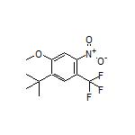 1-(叔丁基)-2-甲氧基-4-硝基-5-(三氟甲基)苯
