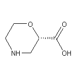(S)-2-Morpholinecarboxylic Acid
