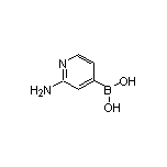 2-Aminopyridine-4-boronic Acid