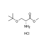 H-D-Ser(tBu)-OMe.HCl