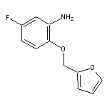 5-fluoro-2-(2-furylmethoxy)aniline