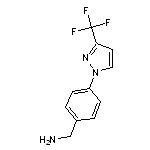 1-{4-[3-(trifluoromethyl)-1H-pyrazol-1-yl]phenyl}methanamine HCl