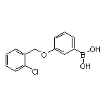 [3-[(2-Chlorobenzyl)oxy]phenyl]boronic Acid