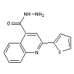 2-Thiophen-2-yl-quinoline-4-carboxylic acid hydrazide