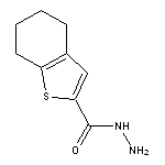 4,5,6,7-Tetrahydro-benzo[b]thiophene-2-carboxylic acid hydrazide