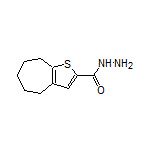 5,6,7,8-Tetrahydro-4H-cyclohepta[b]thiophene-2-carbohydrazide