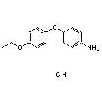 4-(4-ethoxyphenoxy)aniline hydrochloride