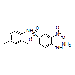 N-(2,4-Dimethylphenyl)-4-hydrazino-3-nitrobenzenesulfonamide