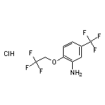 2-(2,2,2-trifluoroethoxy)-5-(trifluoromethyl)aniline hydrochloride