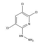 (3,5,6-Trichloro-pyridin-2-yl)-hydrazine