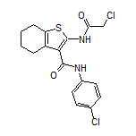 2-(2-Chloroacetamido)-N-(4-chlorophenyl)-4,5,6,7-tetrahydrobenzothiophene-3-carboxamide