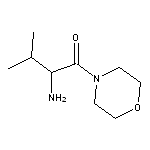 2-amino-3-methyl-1-(morpholin-4-yl)butan-1-one