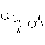 methyl 4-[2-amino-4-(piperidin-1-ylsulfonyl)phenoxy]benzoate